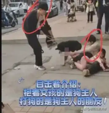 认怂了湖南恶犬咬穿女孩的腿,狗主人身份曝光,面临巨额医药费