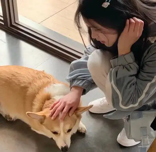 女头理想主义的花不能开在浪漫主义的土壤里