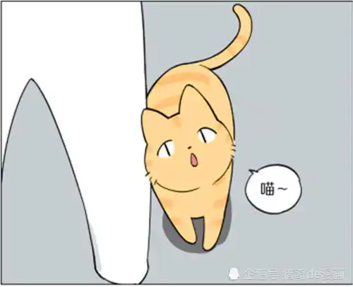 爆笑漫画猫怕主人冷了,使劲在主人的身上蹭来蹭去,沾了主人一身毛