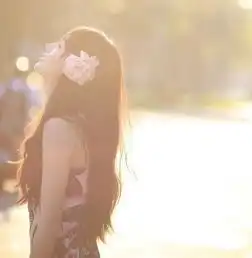 白露待思安憩慧