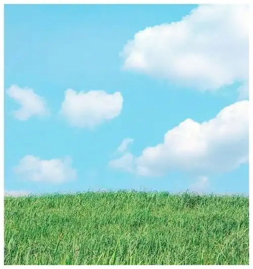 发朋友圈被秒赞的人生感悟,句句精辟有内涵深度好文