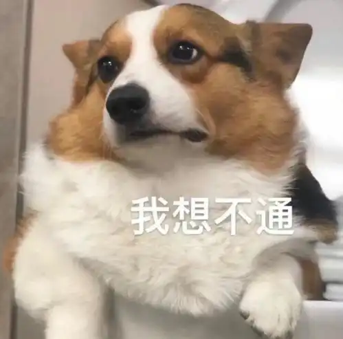给狗狗绝育后,变化最大的,你知道是哪里吗