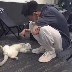 傲的像光视频直播全集傲的像光资料大全yy官方