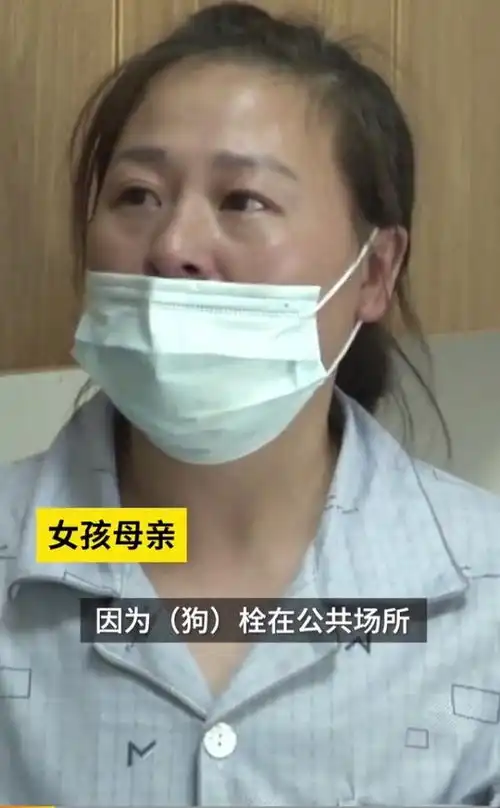 南昌一对母女被狗撕咬半小时,遍体鳞伤,狗主人之前还咬了两人