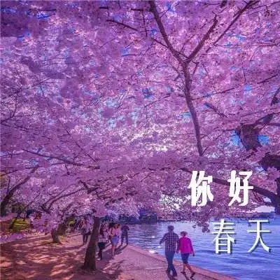 2018春天你好图片唯美带字大全你好最治愈的春天