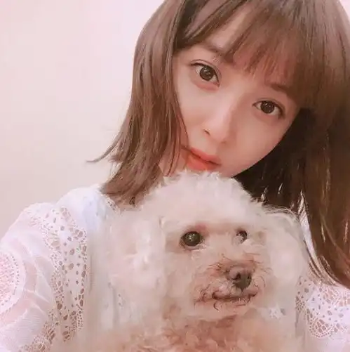 全日本素颜最美佐佐木希她的秘诀是什么