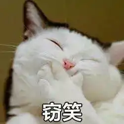 今日文案,我小仙女马可婷要你快乐