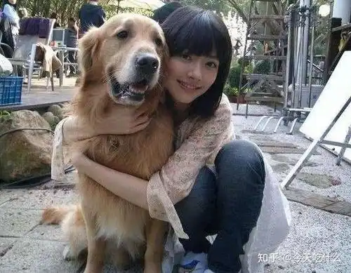 悄悄告诉你,女生养公狗有这些好处哟