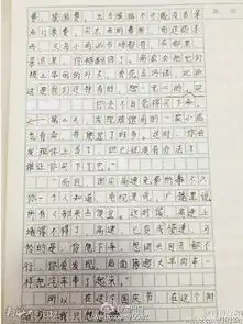 浙江6年级女生作文高速变慢速堵车堵成羊肉串