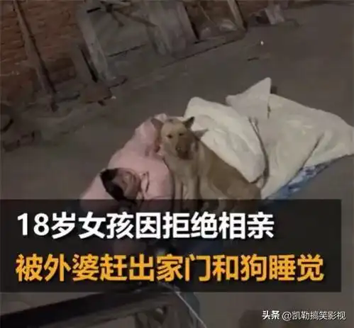 18岁的少女因拒绝相亲,被外婆赶出家门和狗睡