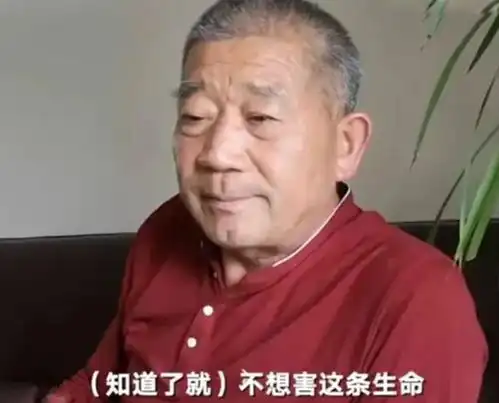 几年前67岁老人怀孕生女称退休金过万不麻烦子女如今怎样了