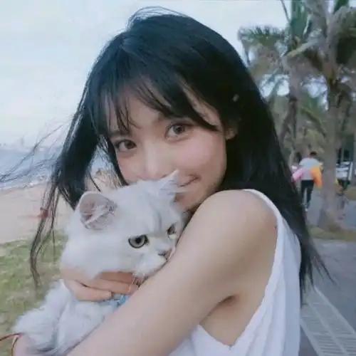 少女与猫头像情侣头像