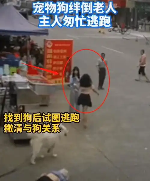 女孩私自遛狗狗绳绊倒老人致人死亡,女孩负责,还是狗主人负责