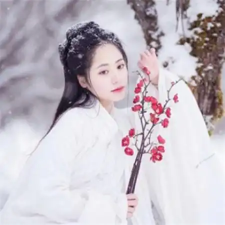 好看的微信古风头像女,手拿桃花冷艳无比