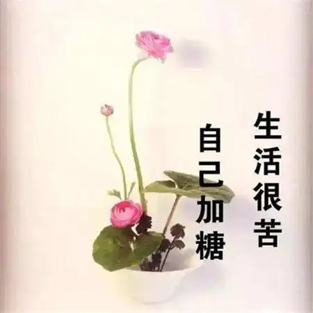 看淡一切善待自己治愈风景图片可以很爱别人但是要更爱自己
