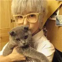 情侣头像男生和女生都在亲猫