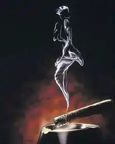 什么要求民众戒烟的红头文件明清两朝就曾发