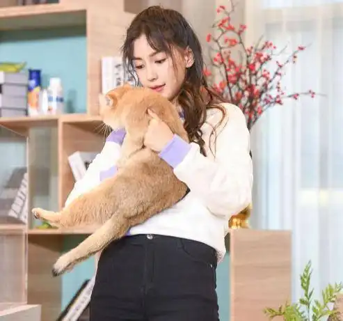 三大热门综艺之女生对比热巴张子枫宋雨琦杨颖,谁最有综艺感