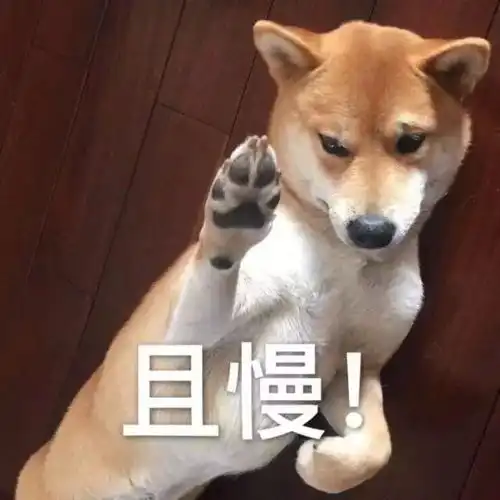 涂鸦风黑科技...这些成都网红私人健身馆了解一下