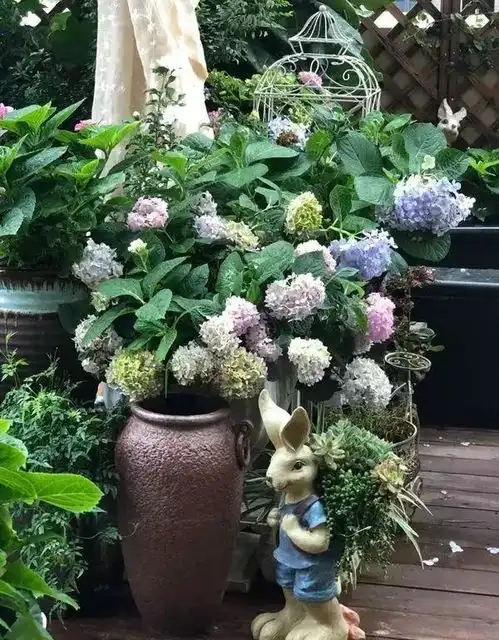 工科女的花园梦打造一座被花草环绕的u型露台花园