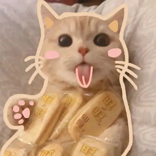 能不能给一些高清的猫咪的头像,﹏