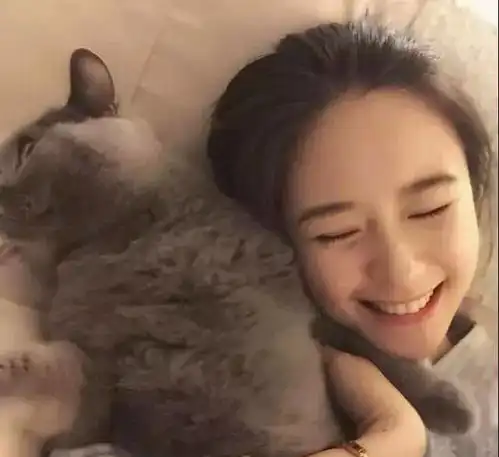 为了和猫合照,你知道铲屎官多努力吗有了这招再也不怕猫抢镜了
