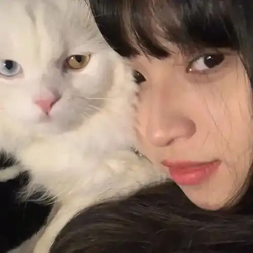 最新的好看微信头像