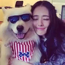 你有一份来自狗狗的快递,请注意查收