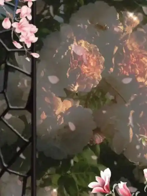 美女特效拍摄卖萌古风清纯妹子古风美女图片轮播汉服