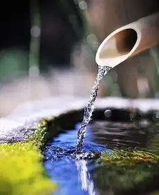 泉水叮咚来自高傲的锁骨的图片分享
