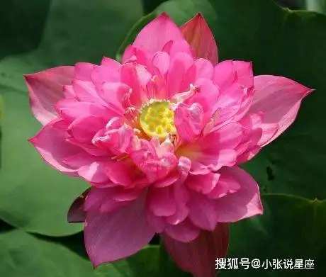 9月喜事一桩接一桩的3大生肖,事业财运双丰收,幸福又美满