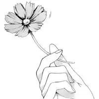 听烟花落逐浪小说