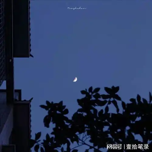 错过了喜欢的人,让你和不爱的人结婚,你会如何选择