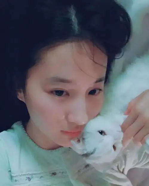 四美同台刘亦菲输在胖上刘亦菲我和天仙女神都不沾边