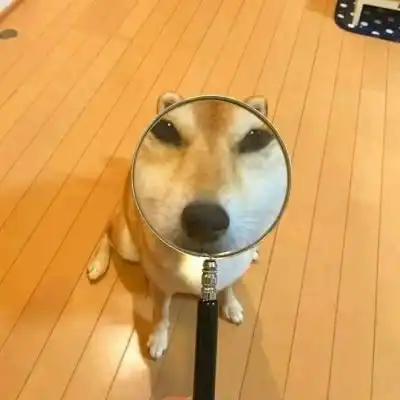 男票打农药时,还回你这3条qq丫头上辈子拯救过银河系