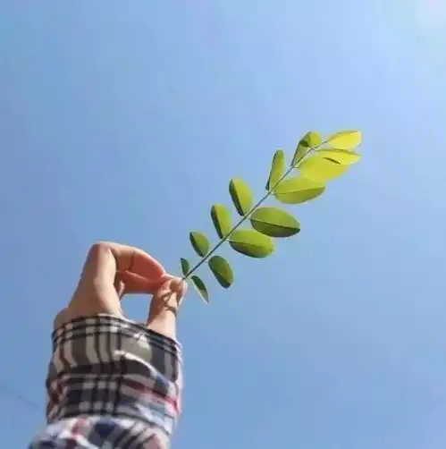 背景图丨你想陌生我根本不会多看你一眼