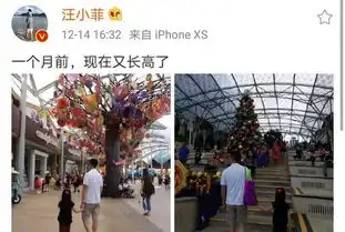 汪小菲晒父女同框,牵手女儿逛街,小玥儿手长腿长背影好淑女