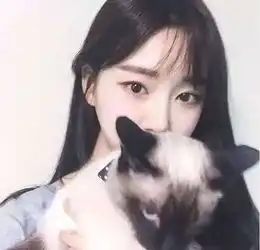 狗狗界傅园慧,一个个都是行走的表情包啊