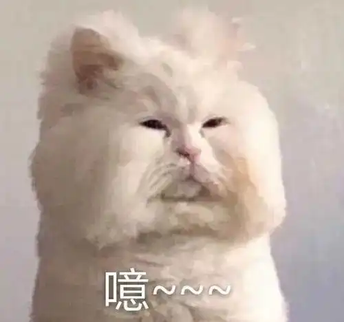 被扯掉少女滤镜的她,活活一个2.0版高晓松,就这还国民初恋