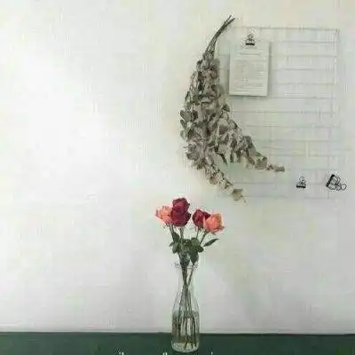 大阳城app注册