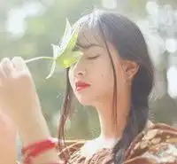 最美的微信背景图片微信头像图片大全