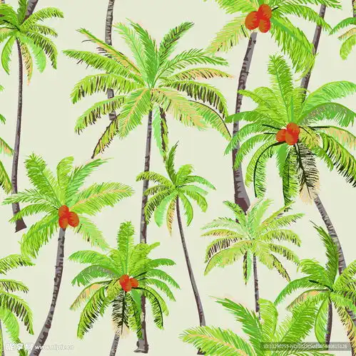 椰树设计图花边花纹