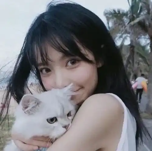 我难过的不是你走了而是我的真心被玩弄了