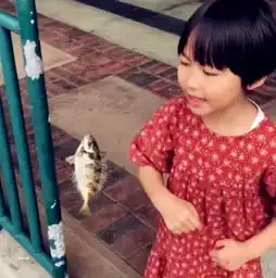 张晋一家四口海边悠闲钓鱼蔡少芬素颜皮肤超好