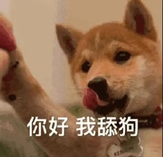 自从点进王霏霏的vlog我的钱包真的很辛苦