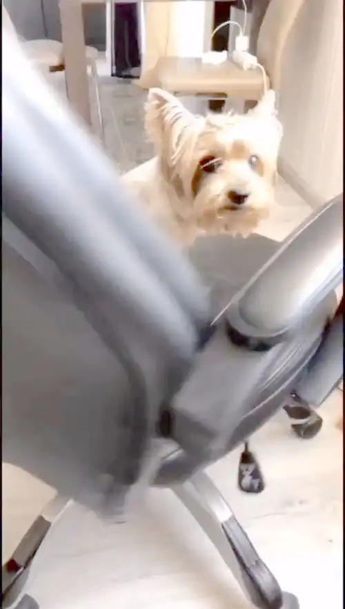 爱笑的女生运气不会太差,而且还很精致,特别的漂亮