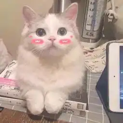 有什么看包装觉得不会好吃,但吃起来很惊艳的零食