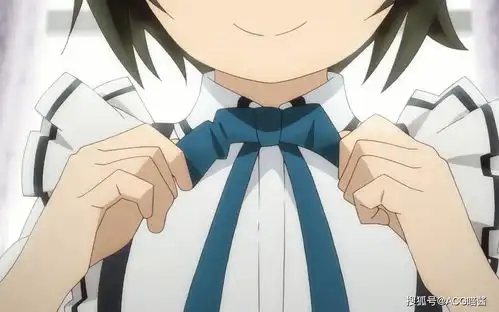 为啥日漫中那么喜欢使用女仆这个设定难不成是受到某种文化影响