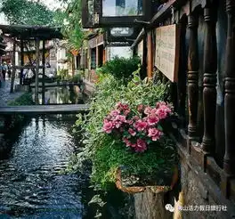 微信头像三水景