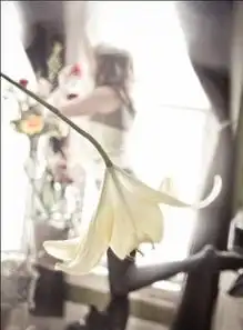 长腿的女生适合跳艺术舞还是艺术体操啊